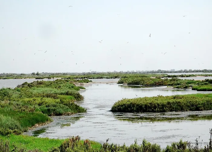 Residenza Emilia Llido Degli Estensi