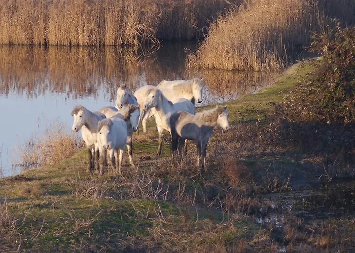 Apartament Residenza Emilia Llido Degli Estensi